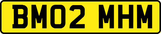 BM02MHM