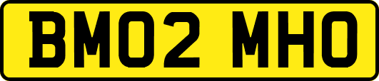 BM02MHO