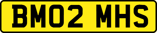BM02MHS