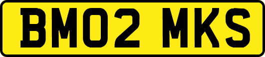 BM02MKS