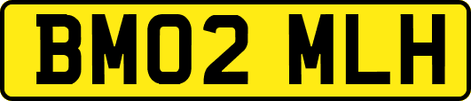 BM02MLH