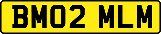 BM02MLM