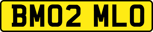 BM02MLO