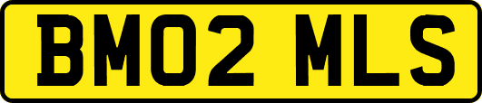 BM02MLS
