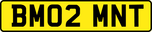 BM02MNT