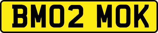 BM02MOK