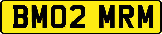 BM02MRM