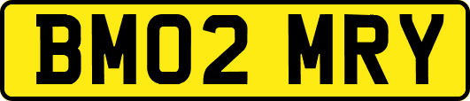 BM02MRY