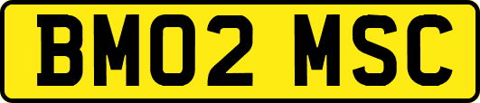 BM02MSC