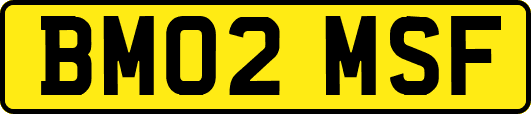 BM02MSF