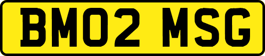 BM02MSG