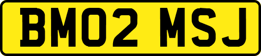 BM02MSJ