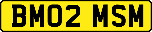 BM02MSM
