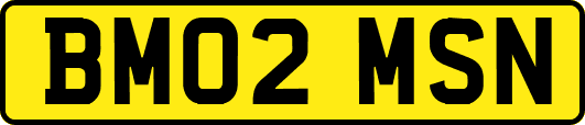 BM02MSN
