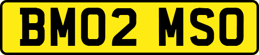 BM02MSO