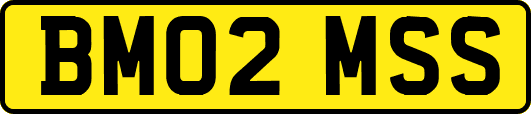 BM02MSS