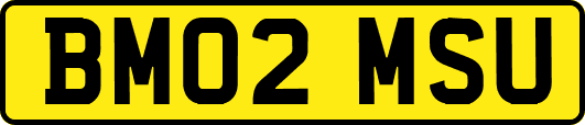 BM02MSU