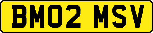 BM02MSV