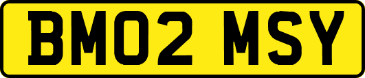 BM02MSY
