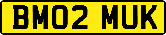 BM02MUK