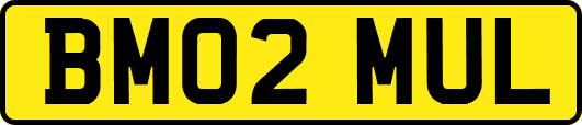 BM02MUL