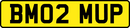 BM02MUP
