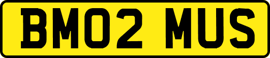 BM02MUS