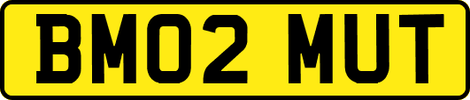 BM02MUT