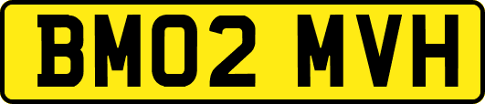 BM02MVH