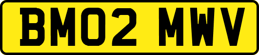BM02MWV