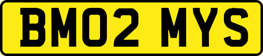 BM02MYS