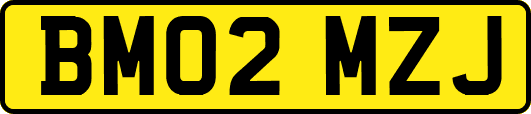 BM02MZJ