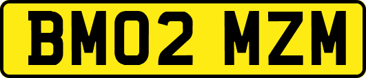 BM02MZM