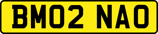 BM02NAO