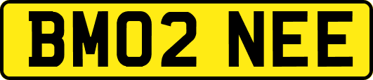 BM02NEE