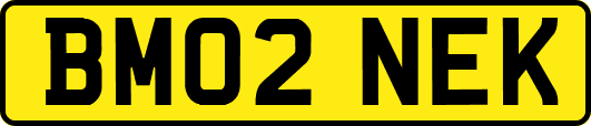 BM02NEK