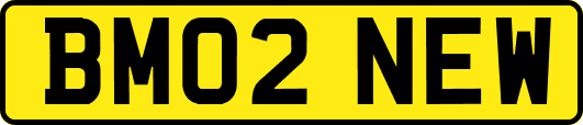 BM02NEW