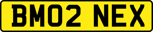 BM02NEX