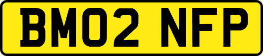 BM02NFP