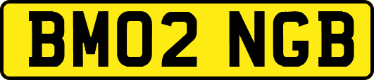 BM02NGB