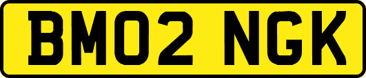 BM02NGK