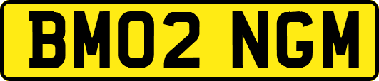 BM02NGM