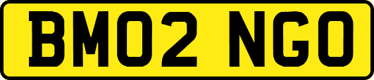 BM02NGO