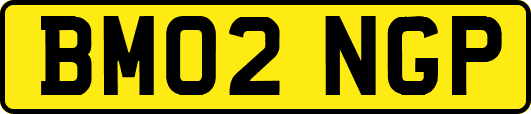BM02NGP