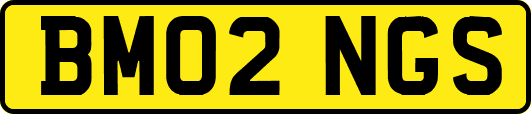 BM02NGS