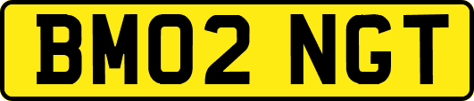 BM02NGT