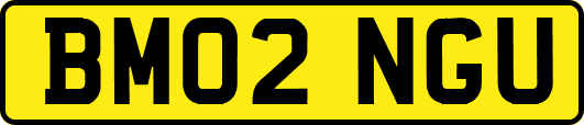 BM02NGU
