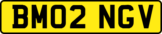 BM02NGV