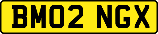 BM02NGX