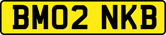 BM02NKB